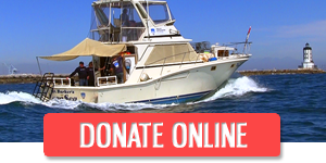 Donate Online