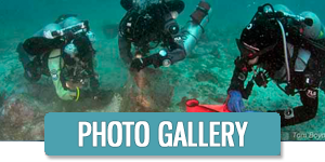 Photo Gallery