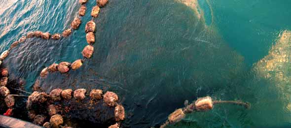 Report debris