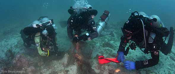 3 Divers cutting away