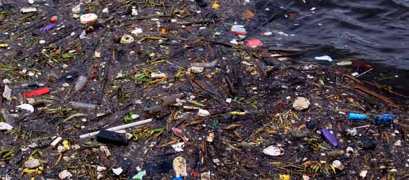 floating debris