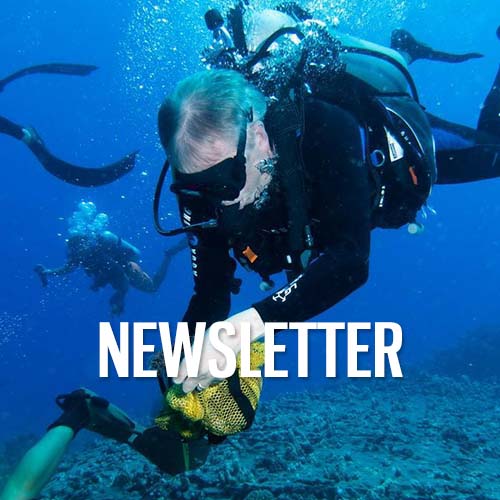 diver