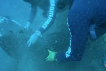 news 2023 09 30 15 uw removing net 2w wm