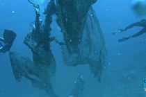 news 2023 09 30 17 uw removing net 4w wm