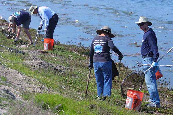 Volunteer Onshore