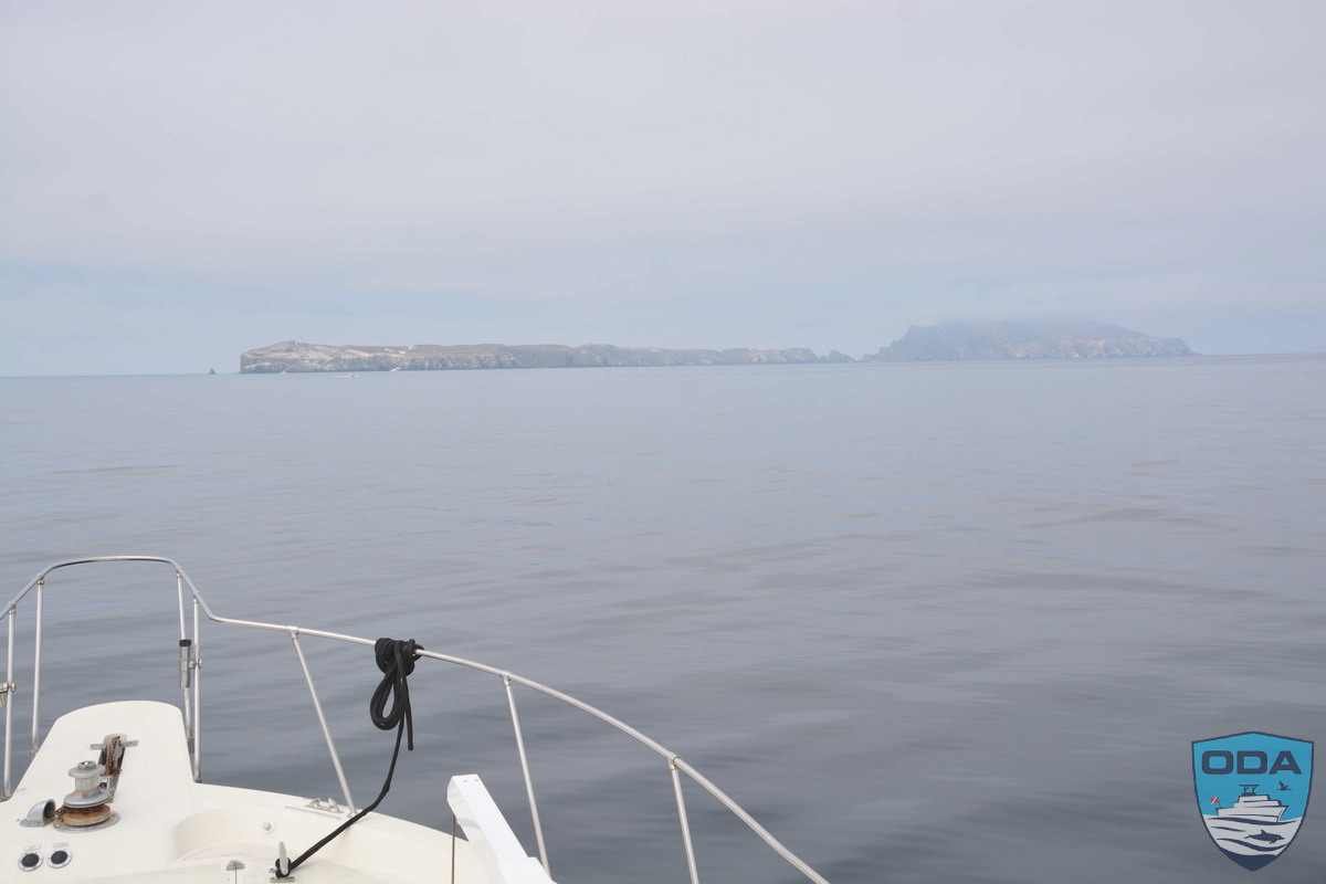 news 2025 07 03 2025 06 29 04 Anacapa Island LR 1200w wm