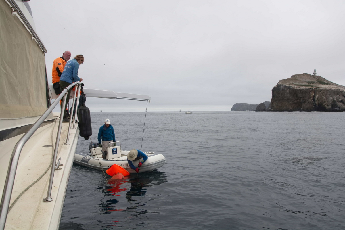 RIB team chasing after abandoned fishing gear to remove it