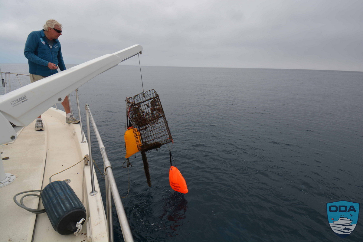 ODA debris-removal traps being hoisted out of the water.