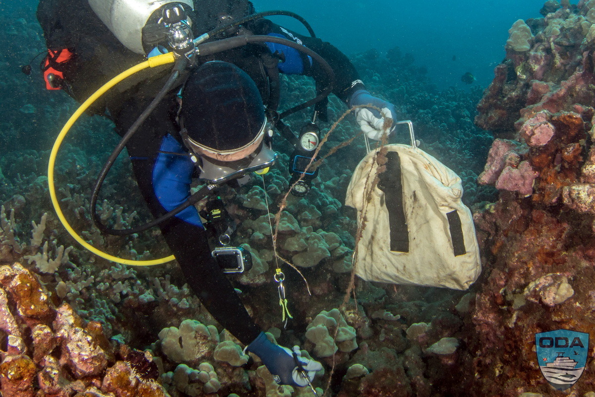 ODA volunteer SCUBA Divers hauling out abandonded fishing gear